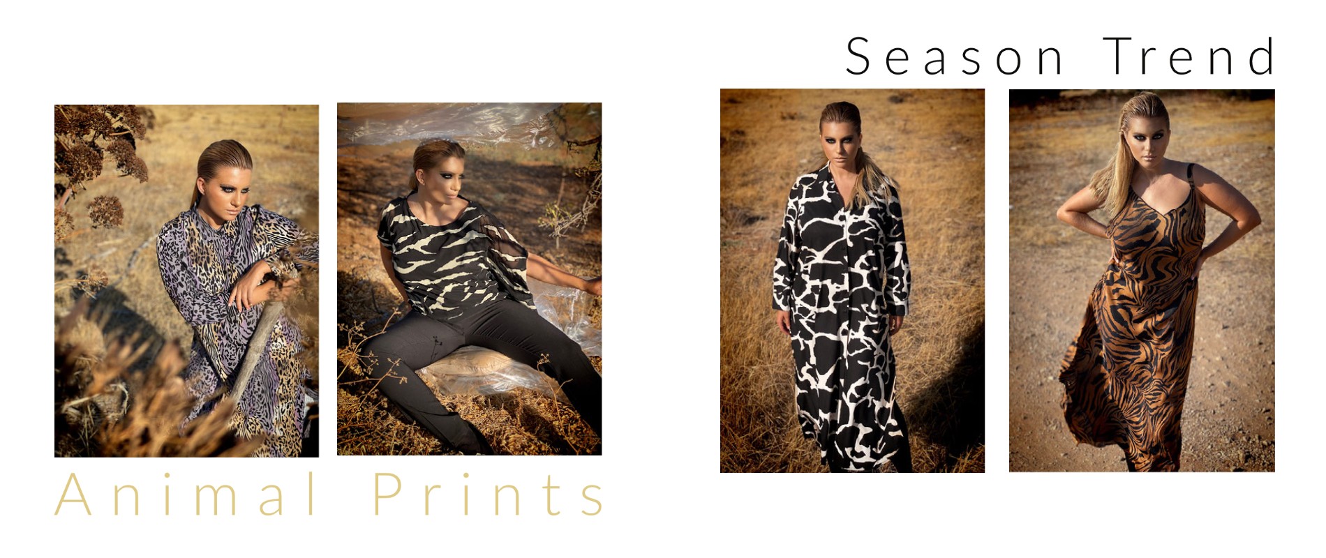 Season Trend - Animal Prints
